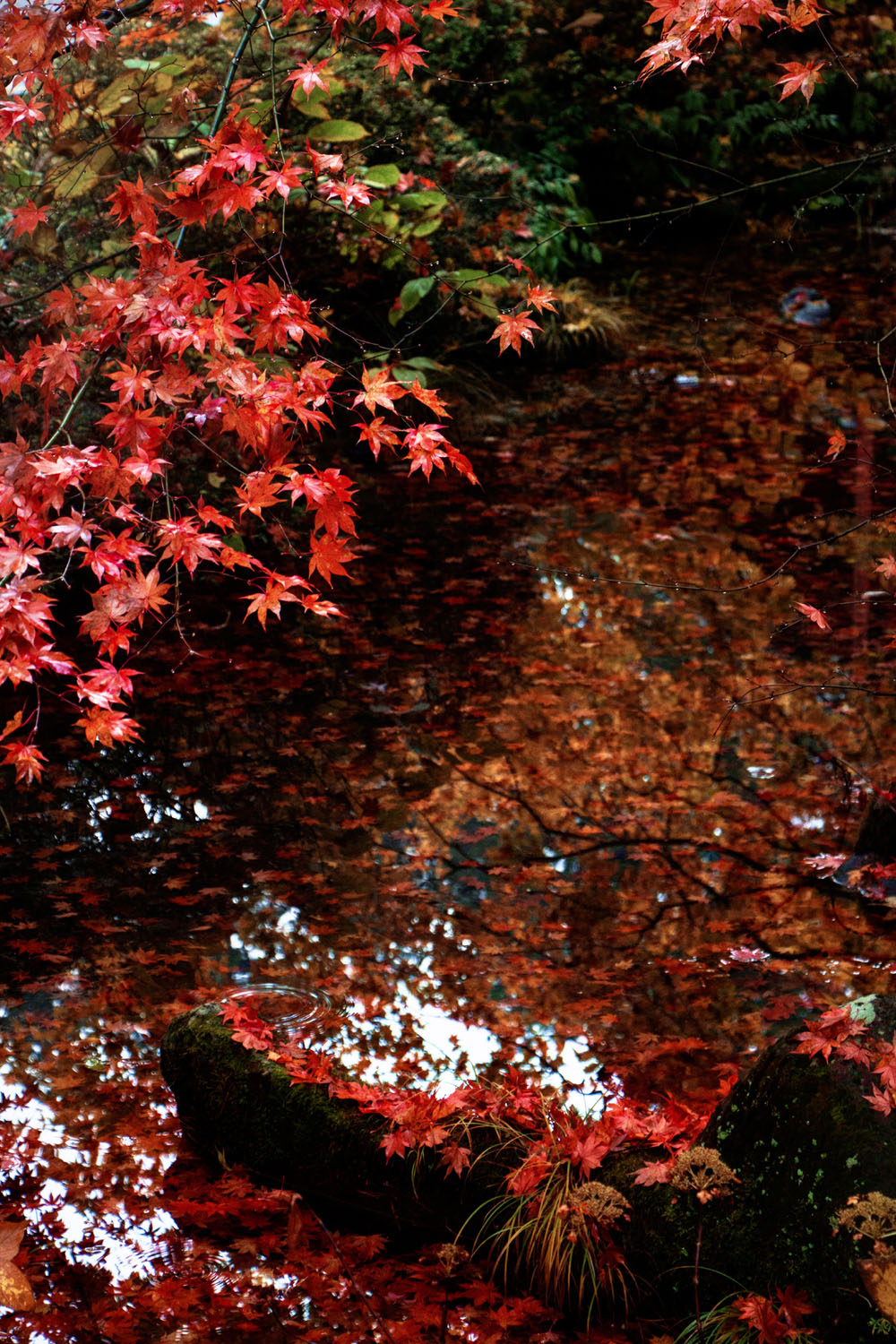 Nikko, Japan: World Heritage