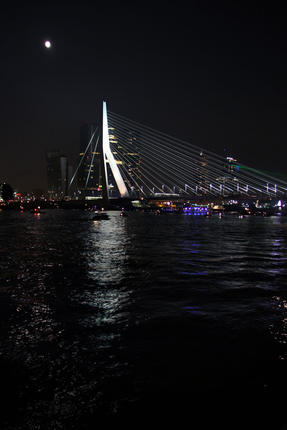 Rotterdam World Port Day